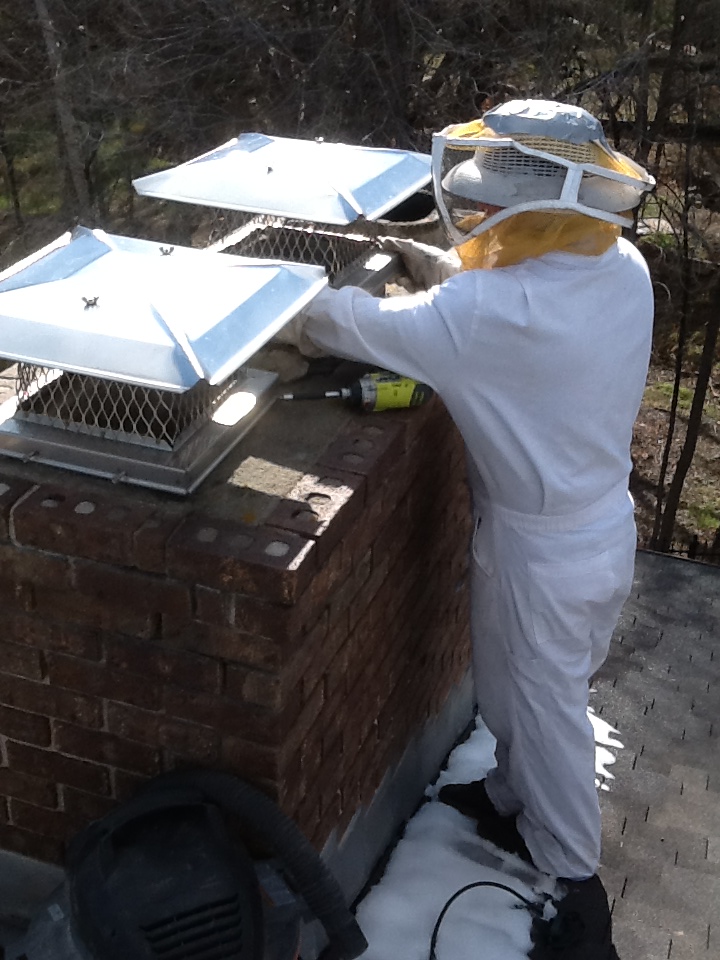 chimney cap open before 003c bees